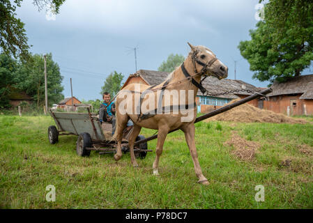 Litynia Dorf, Ukraine - Juni 02, 2018: Zwei junge Jungen reiten auf einem alten hölzernen Wagen, Lagerung von Heu für die Tiere. Leben in einem Dorf, Lifestyle Stockfoto