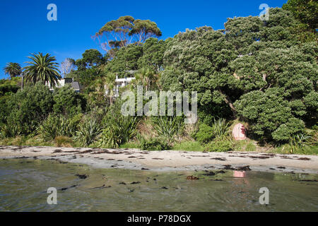 Pohutukawa Strand mit Bäumen auf Waiheke Island, Auckland, Neuseeland Stockfoto
