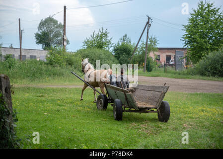 Litynia Dorf, Ukraine - Juni 02, 2018: Zwei junge Jungen reiten auf einem alten hölzernen Wagen, Lagerung von Heu für die Tiere. Leben in einem Dorf, Lifestyle Stockfoto