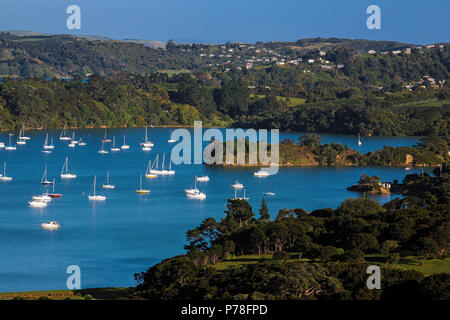 Yachten vor Anker in geschützten Buchten der Insel Waiheke im Hauraki Gulf, Auckland, Neuseeland Stockfoto