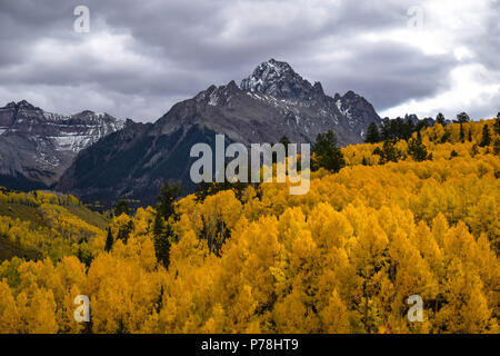 Colorado Gold auf voller Anzeige Stockfoto