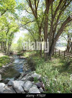 Colorado Landschaft Bach im Frühjahr Stockfoto