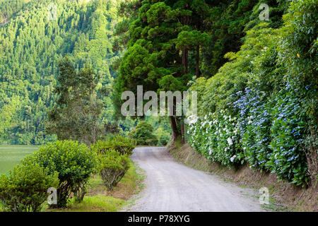 Weg entlang des Sees in Sete Cidades, Azoren, Portugal Stockfoto