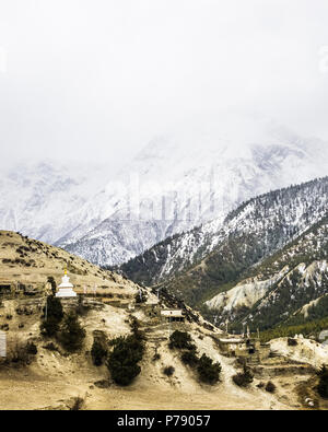 Eine weiße Stupa vor einem Pinienwald und einem schneebedeckten Berg in Wolken in Braga, Annapurna Rundweg, Nepal, ummantelte Stockfoto