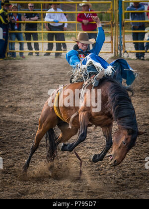 Ein Cowboy reitet ein Ruckeln bronco am Airdrie Pro Rodeo während der bareback Wettbewerb. Stockfoto