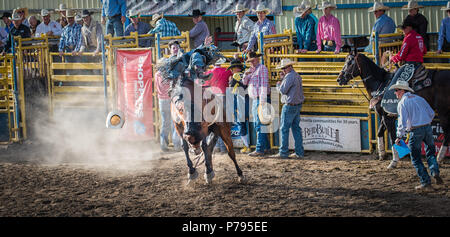 Ein Cowboy reitet ein Ruckeln bronco am Airdrie Pro Rodeo. Seine Cowboy Hut flog durch den Staub während seiner wilden Ritt. Stockfoto