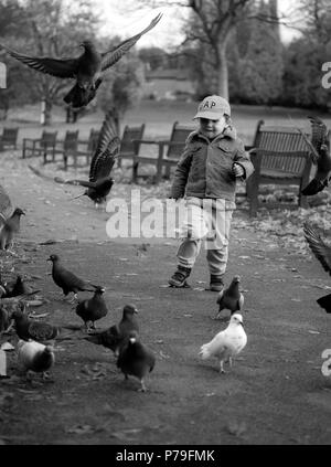 Ein Junge jagt Tauben im Park Stockfoto