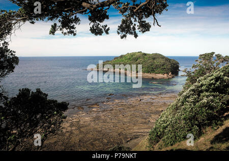 Blick auf Goat Island und die umliegenden Marine Reserve, Leigh, Neuseeland Stockfoto