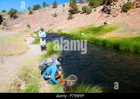 Schöne kleine Hot Creek östlich von Mammoth Lakes Erträge viel Regenbogenforelle. Fischer zu fliegen. Ein Leitfaden landet! Stockfoto