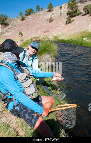 Schöne kleine Hot Creek östlich von Mammoth Lakes Erträge viel Regenbogenforelle. Fischer zu fliegen. Ein Leitfaden landet! Stockfoto