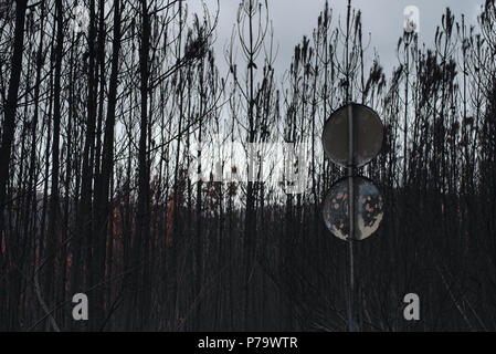 Der Sommer hat in den zentralen Regionen in Portugal und im Winter verabschiedet hat, nach dem zerstörerischen wilfires, dass große Waldgebiete zerstört. Stockfoto