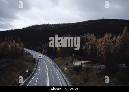 Der Sommer hat in den zentralen Regionen in Portugal und im Winter verabschiedet hat, nach dem zerstörerischen wilfires, dass große Waldgebiete zerstört. Stockfoto