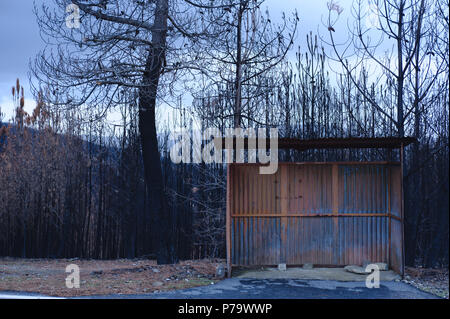 Der Sommer hat in den zentralen Regionen in Portugal und im Winter verabschiedet hat, nach dem zerstörerischen wilfires, dass große Waldgebiete zerstört. Stockfoto