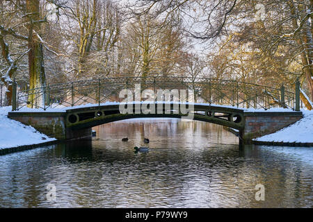 Winter im Schweriner Schloss Garten. Stockfoto