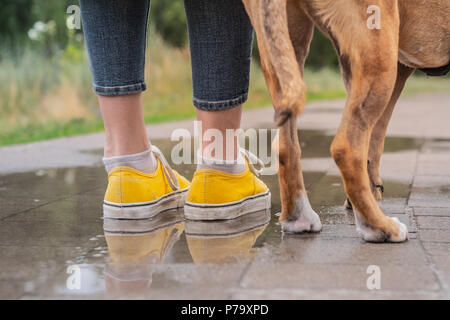 Spaziergang mit dem Hund im Regen. Stockfoto