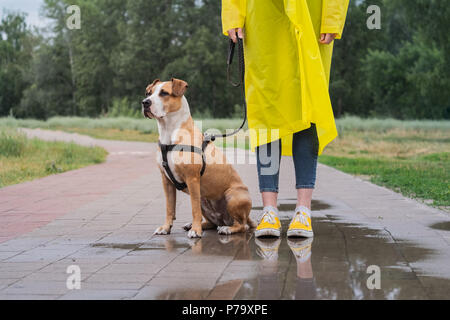 Spaziergang mit dem Hund im gelben Regenmantel an regnerischen Tag. Stockfoto
