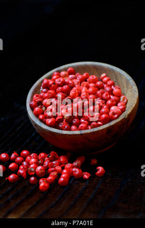 Roter Pfeffer, Schinus terebinthifolius, Brasilianischer Pfefferbaum Stockfoto