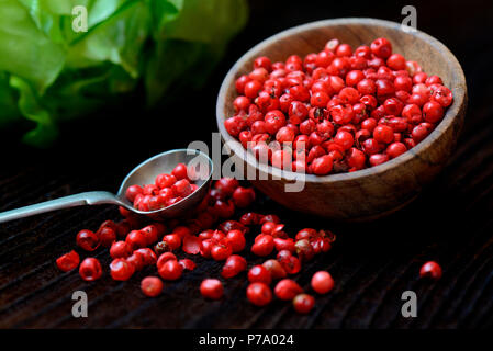 Roter Pfeffer, Schale und Loeffelchen, Schinus terebinthifolius, Brasilianischer Pfefferbaum Stockfoto