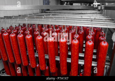 Wurst. Wurst Produktionslinie. Wurst auf dem Zähler für die räucherkammer. Die industrielle Herstellung von Würstchen. Stockfoto