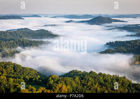 Am frühen Morgen Nebel deckt tiefe Täler in Appalachia. Stockfoto