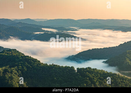 Am frühen Morgen Nebel deckt tiefe Täler in Appalachia. Stockfoto