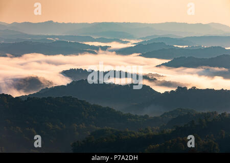 Am frühen Morgen Nebel deckt tiefe Täler in Appalachia. Stockfoto