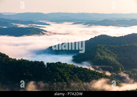 Am frühen Morgen Nebel deckt tiefe Täler in Appalachia. Stockfoto