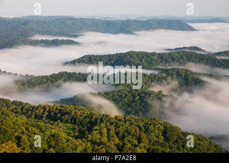 Am frühen Morgen Nebel deckt tiefe Täler in Appalachia. Stockfoto