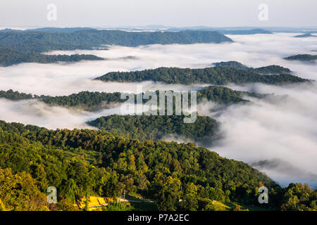 Am frühen Morgen Nebel deckt tiefe Täler in Appalachia. Stockfoto