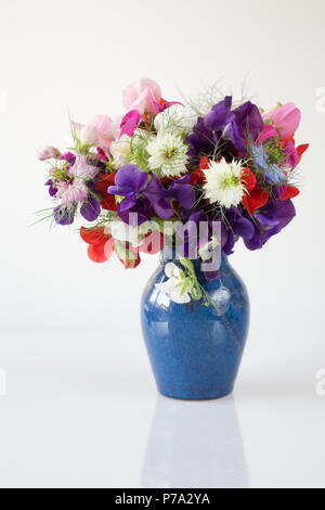 Lathyrus Odoratus. Sweet pea 'Frühen Mammut gemischt', 'antike Fantasy gemischt' und Nigella damascena Blumen in einer Vase auf einem weißen Hintergrund. Stockfoto