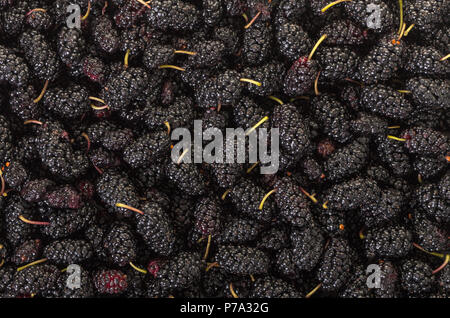 Essen Hintergrund einer Textur von frischem Mulberry Stockfoto