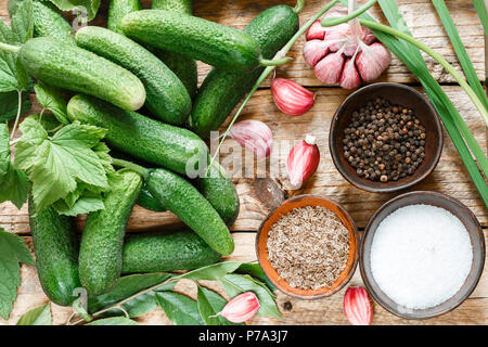 Zutaten für Bewahrung auf einem alten Holztisch - Gurken, Knoblauch, Dill, Pfeffer, Salz, Gewürze, Gewürze. Selektiver Fokus Stockfoto