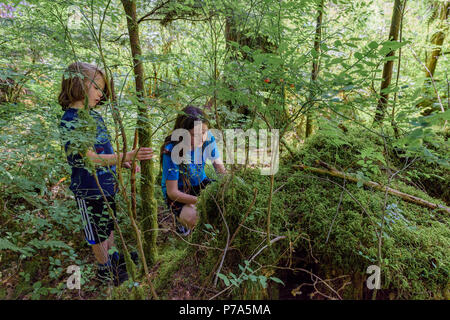 Jungen Jungen erforscht für einen Geocache, Buntzen Lake Recreation Area, in der Nähe von Anmore, British Columbia, Kanada Stockfoto