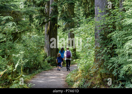 Mutter und Söhne auf der Spur, Buntzen Lake Recreation Area, in der Nähe von Anmore, British Columbia, Kanada Stockfoto