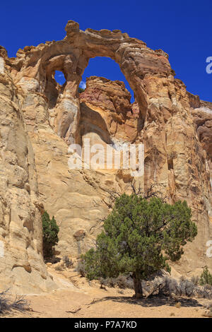 Grosvenor Arch ist ein einzigartiges Sandstein Double Arch im Grand Staircase-Escalante National Monument im südlichen Kane County, Utah, United Stat Stockfoto