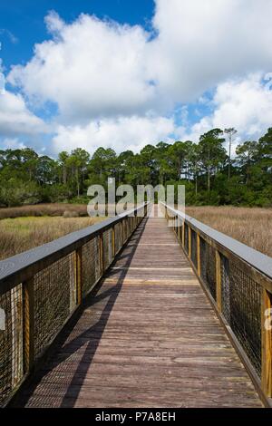 Eine hölzerne walking Pier erstreckt sich über einem sumpfigen Fluss mit Seegras. Es gibt grüne Bäume im Hintergrund unter einem wunderschönen blauen Himmel und weißen Wolken Stockfoto