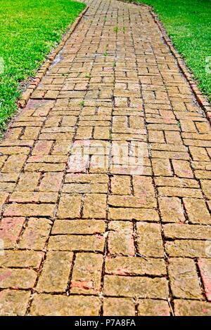 Eine gewundene Ziegelstein Weg unter den grünen Rasen. Stockfoto