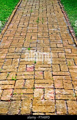 Eine gewundene Ziegelstein Weg unter den grünen Rasen. Stockfoto