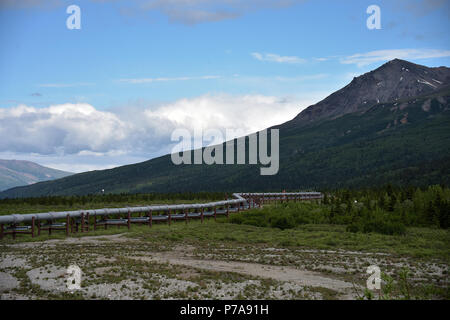 Die 800 km lange Trans Alaska Pipeline System ist einer der grössten Pipeline Systeme der Welt. TAPS Ausdehnungen durch robuste und schönen Gelände. Stockfoto