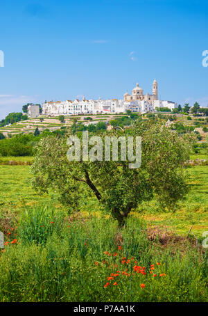 Locorotondo (Apulien, Italien) - Die wunderschöne weiße Stadt in der Provinz von Bari, unter den Top 10 der schönsten Dörfer im Süden Italiens gewählt. Stockfoto