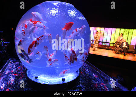 Tokio. 5. Juli 2018. Foto am Juli 5, 2018 zeigt eine Installation mit Goldfischen in beleuchteten Tanks bei Art Aquarium Ausstellung in Tokio, Japan. Quelle: Ma Ping/Xinhua/Alamy leben Nachrichten Stockfoto