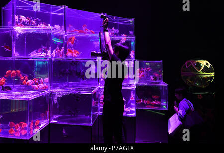 Tokio, Japan. 5. Juli 2018. Ein Besucher nimmt Bilder der Anlagen mit Goldfisch in beleuchtete Tanks bei Art Aquarium Ausstellung in Tokio, Japan, 5. Juli 2018. Quelle: Ma Ping/Xinhua/Alamy leben Nachrichten Stockfoto