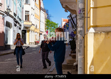 Straßenmusiker in Tallin, Estland Stockfoto