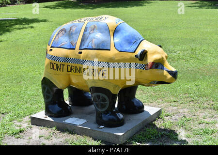 Der Bär ist das Maskottchen der Stadt New Bern, North Carolina. Stockfoto