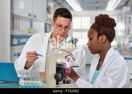 Wissenschaftler, Senior kaukasischen Männern und jungen afrikanischen Frauen, die Arbeit mit dem Mikroskop in Forschung Labor. Flache DOF, auf dem Gesicht des Mannes. Stockfoto