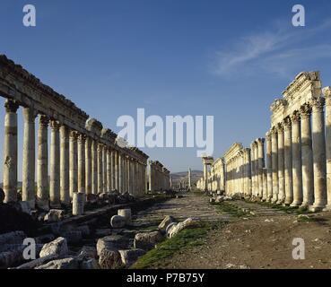 Syrien. Apamea. Antike griechische und römische Stadt. Große Kolonnade und Cardo Maximus. Stockfoto