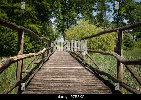 Eine schmale Brücke aus Holz über ein Feuchtgebiet mit Schilf an einem sonnigen Tag im Frühjahr gemacht Stockfoto