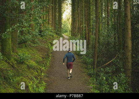 Man joggen in üppiger Wald Stockfoto