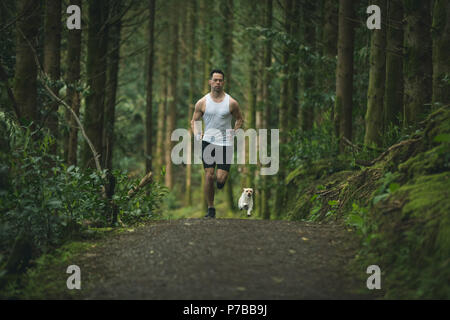 Man joggen in üppiger Wald Stockfoto