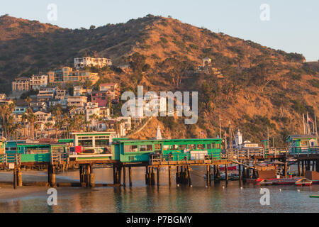 Catalina Island Vacation Resort, Avalon, Kalifornien, grün Pleasure Pier in ruhigen Ozean wider, bunte Häuser am Hügel, Glockenturm visi Stockfoto